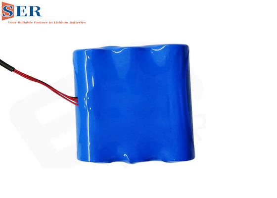 dispositif de mise en place de la batterie ER14505-2+HPC1550 GPS de mètre d'eau de 5400mAh NOTA:-IoT